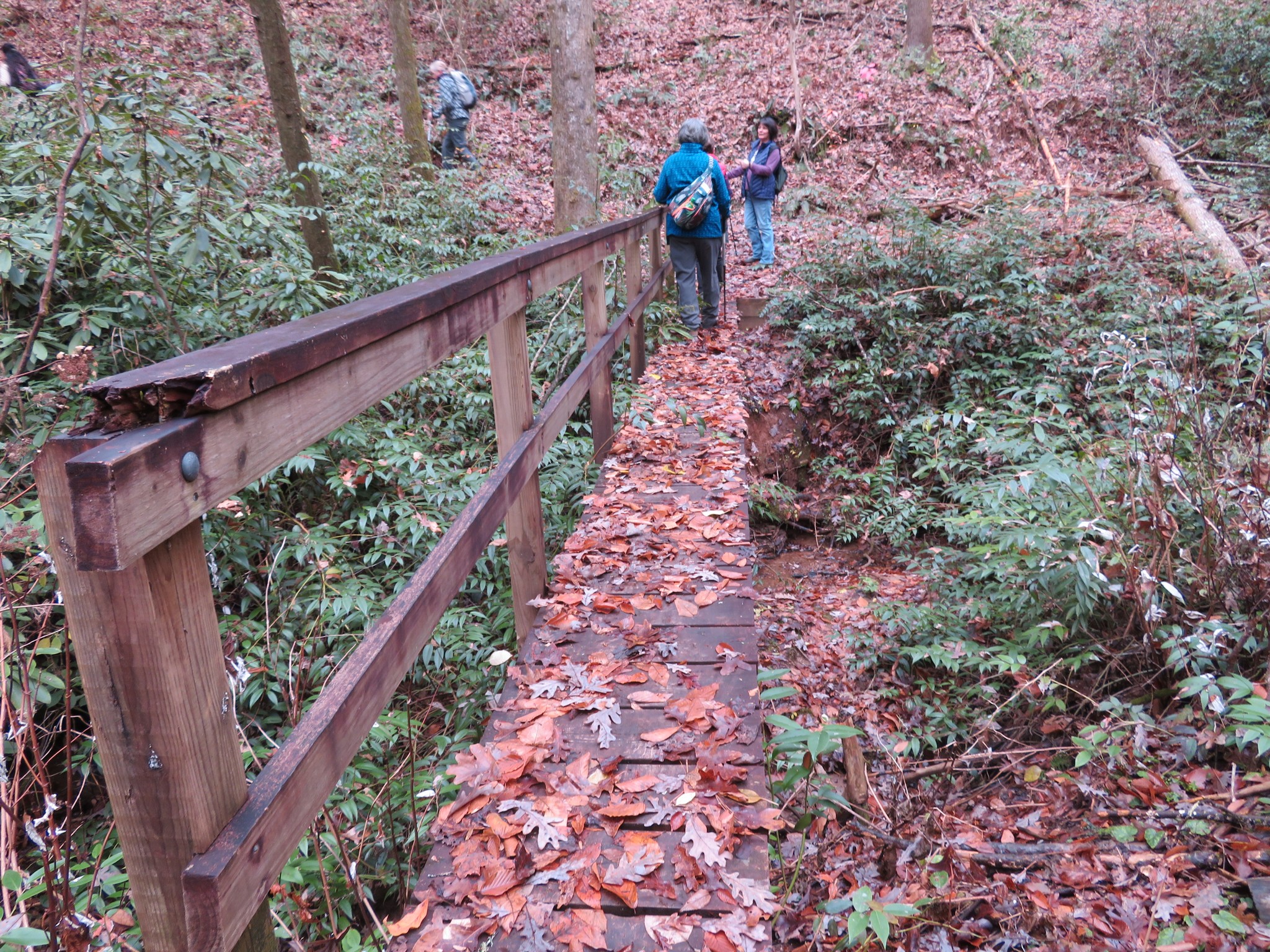 Footbridge across Rock Creek.