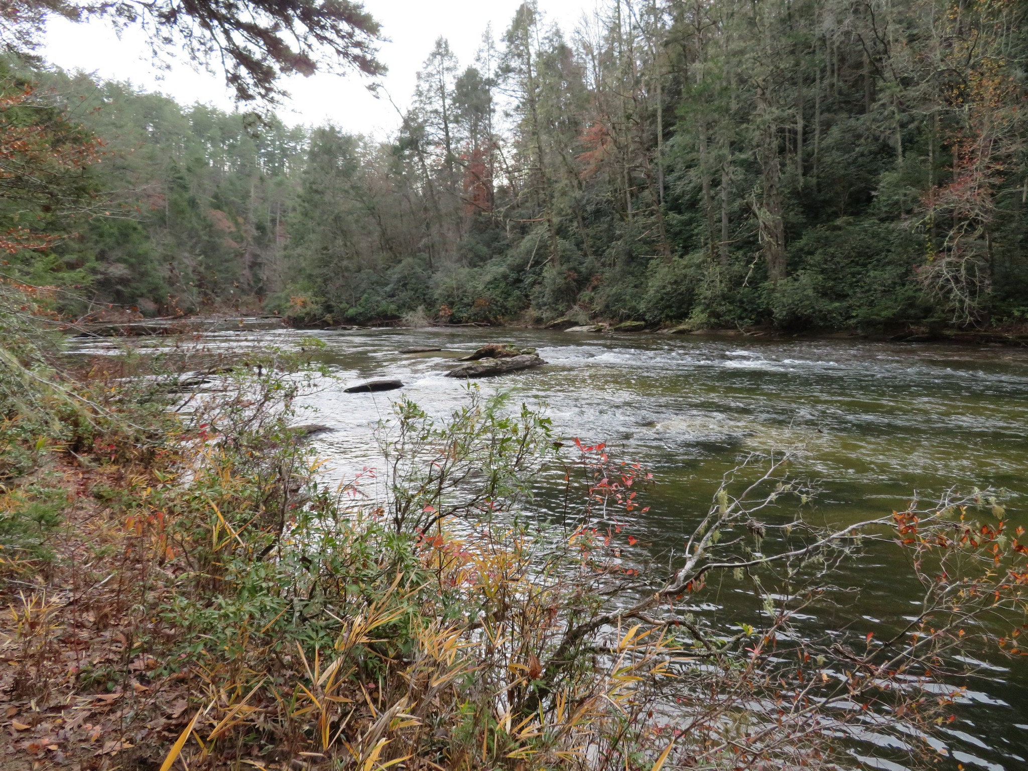 The Chattooga River is alway beautiful.