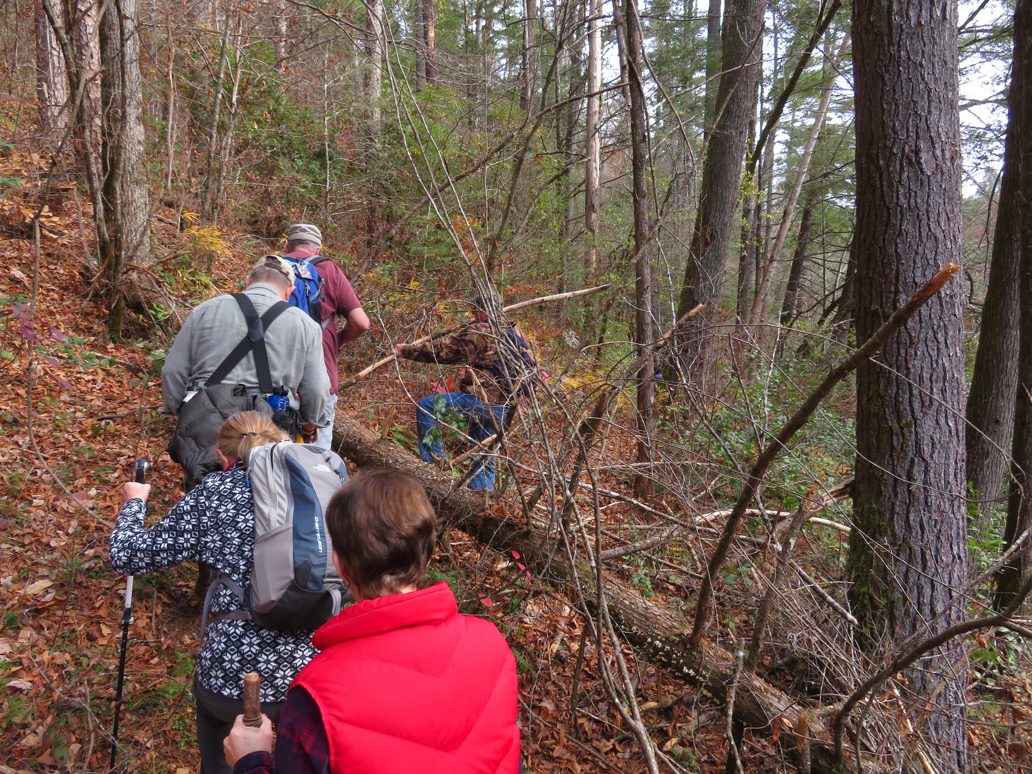 Another great day for a hike!