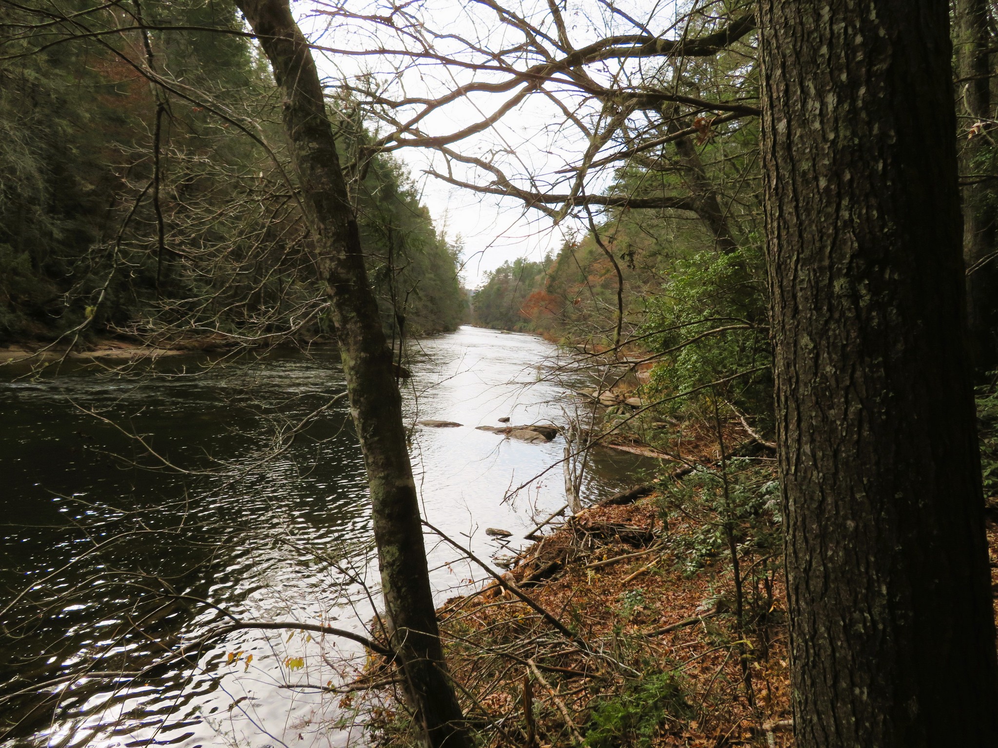 Another view of the Chattooga River.