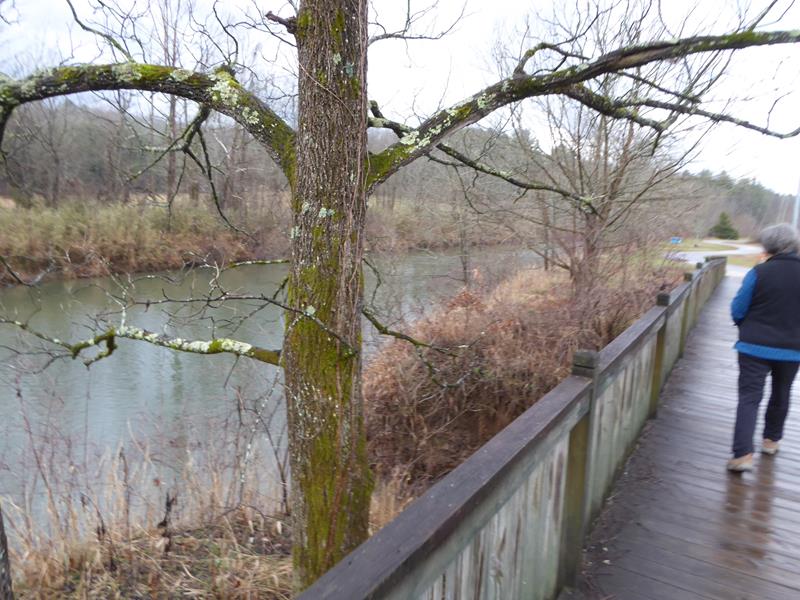 We started out on the boardwalk at Tassee Park.