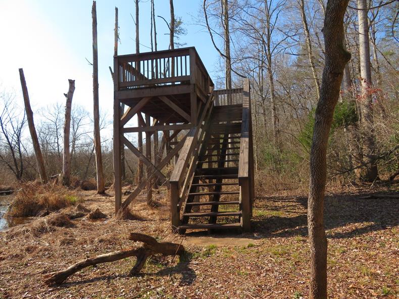 The Wildlife viewing tower.