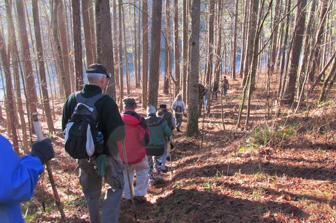 Here, the trail goes back into the woodland.