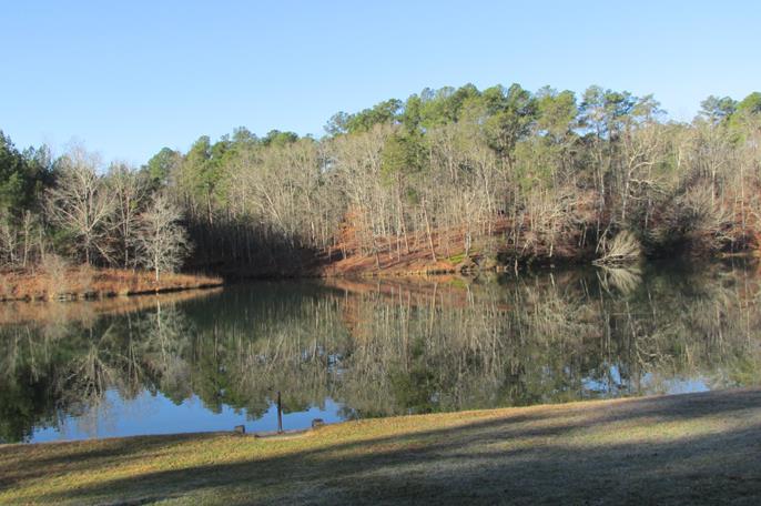 Passing by the picnic area.
