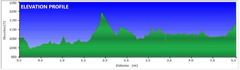 Elevation Profile