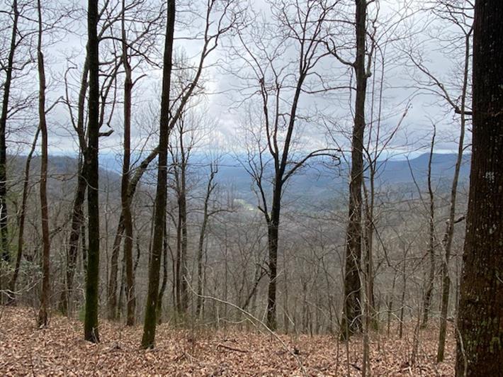 Nice views as we head back to Woody Gap.