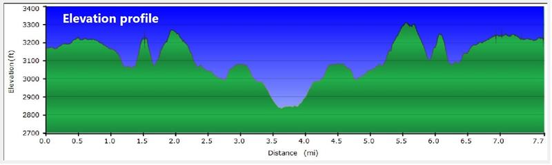 Our hilly elevation profile!